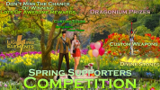 supporter-competition.png