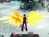 Wings - Phoenix.jpg